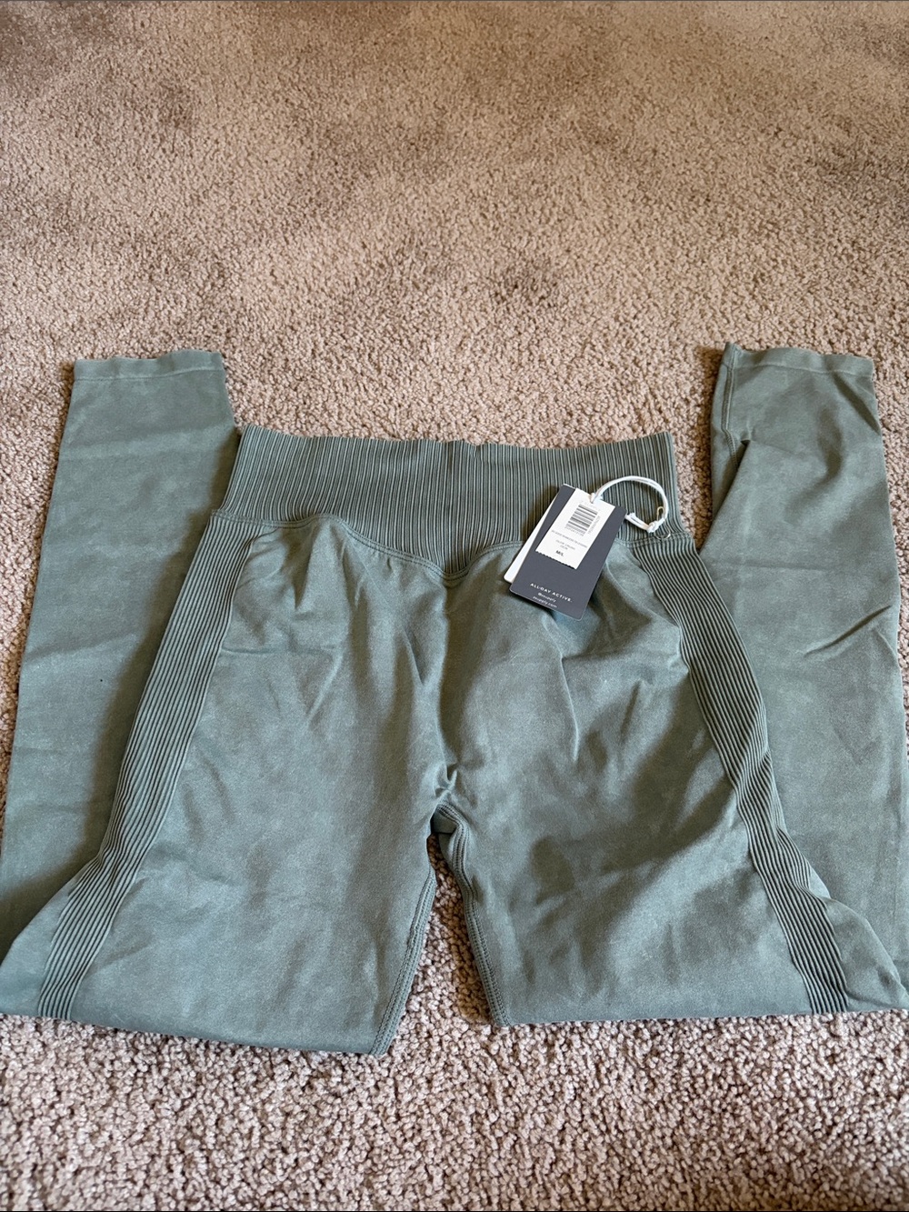 Z Supply Olive Green Ribbed High-Waist Leggings